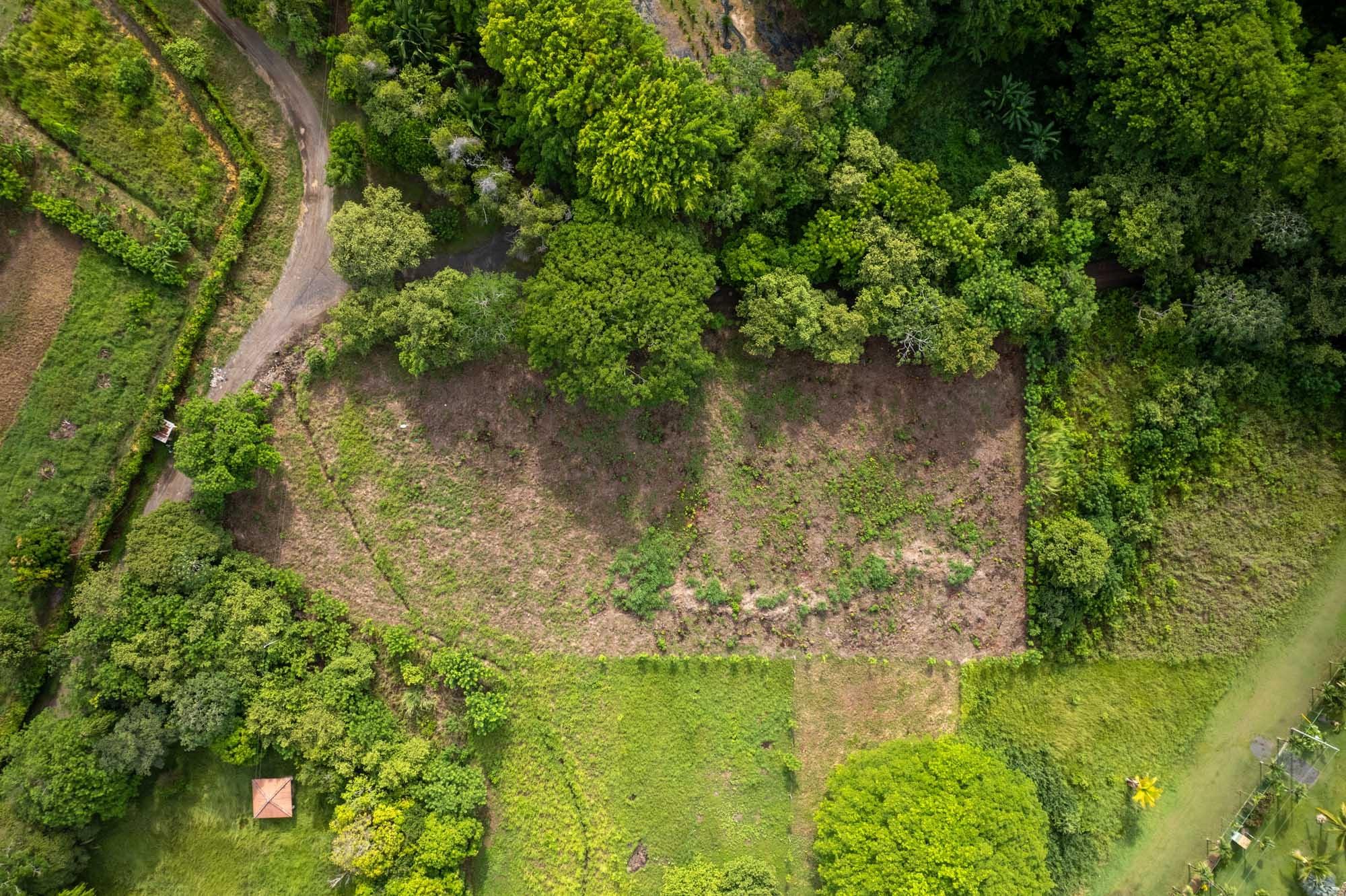 00006467.L0-12